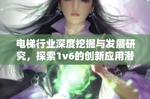 电梯行业深度挖掘与发展研究，探索1v6的创新应用潜力