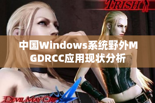 中国Windows系统野外MGDRCC应用现状分析