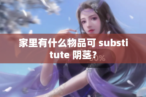 家里有什么物品可 substitute 阴茎？