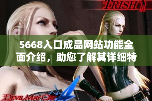 5668入口成品网站功能全面介绍，助您了解其详细特点