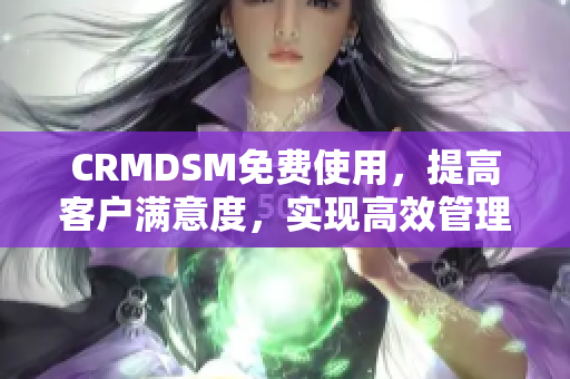 CRMDSM免费使用，提高客户满意度，实现高效管理