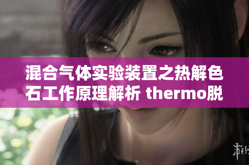 混合气体实验装置之热解色石工作原理解析 thermo脱色摇动床