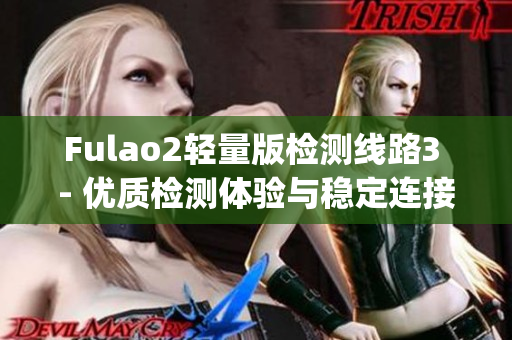 Fulao2轻量版检测线路3 - 优质检测体验与稳定连接的最佳选择(1)