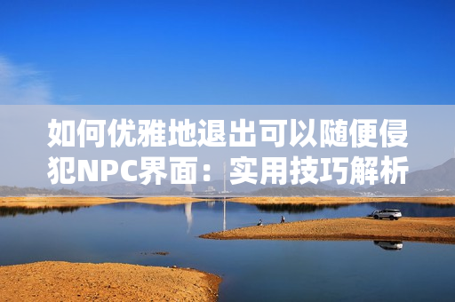 如何优雅地退出可以随便侵犯NPC界面：实用技巧解析