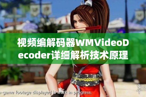 视频编解码器WMVideoDecoder详细解析技术原理及应用实践(1)