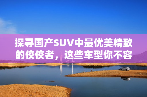 探寻国产SUV中最优美精致的佼佼者，这些车型你不容错过！