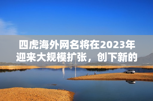 四虎海外网名将在2023年迎来大规模扩张，创下新的全球纪录