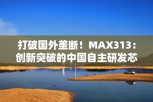 打破国外垄断！MAX313：创新突破的中国自主研发芯片