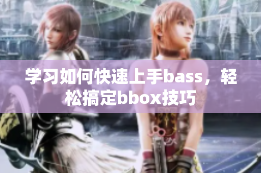 学习如何快速上手bass，轻松搞定bbox技巧